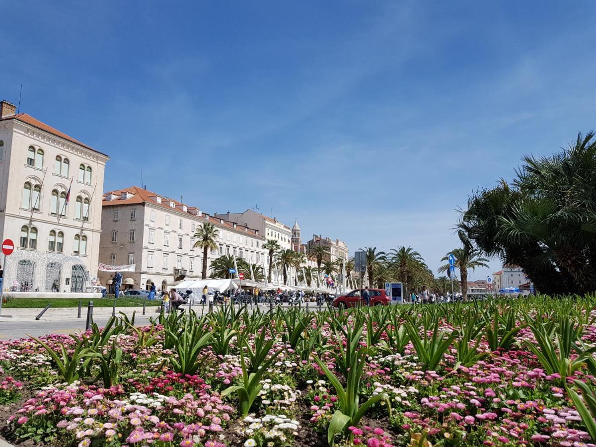 Split City Apartment Rosemary Dış mekan fotoğraf